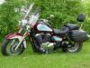 Mark's Honda Shadow A.C.E.